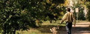 Man walking a dog along a tree-lined path
