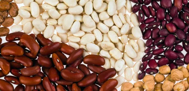 Assortment of dried beans