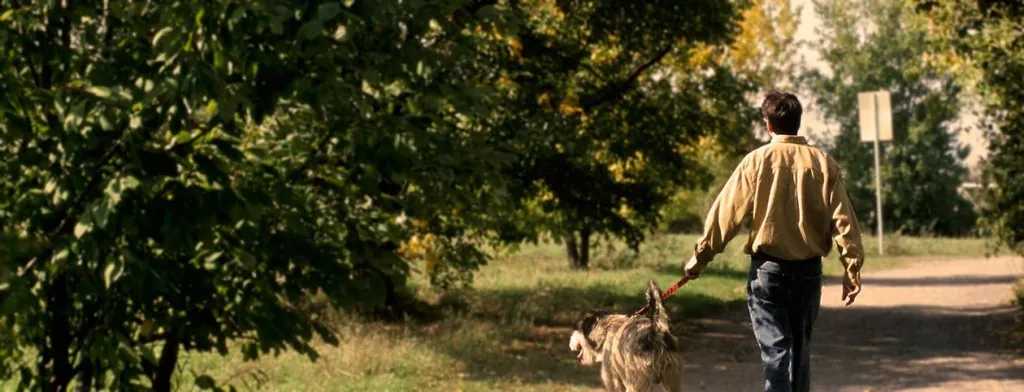 Man walking a dog along a tree-lined path