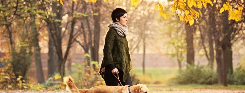 Woman walking a dog in autumn woodland
