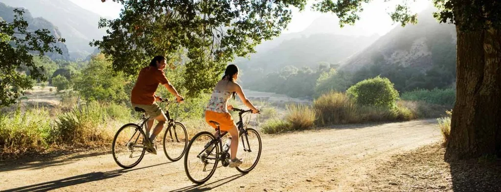 Couple cycling along a country path