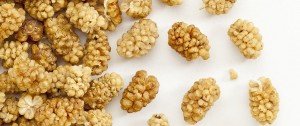 Mulberries Health Benefits Superfood for diabetes