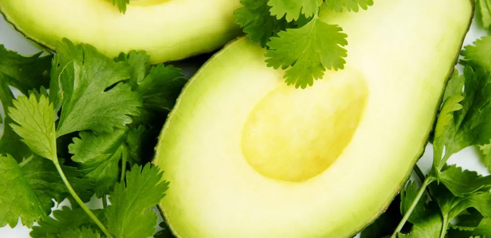 Avocado halves beside cilantro