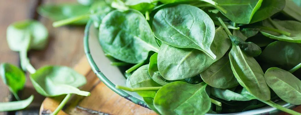 Fresh spinach leaves in a glass bowl