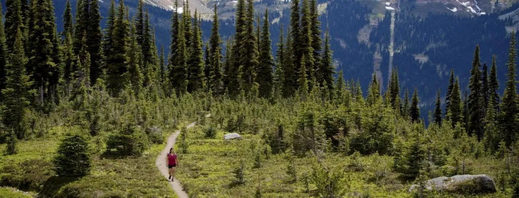 Hiker on a mountain trail near Whistler