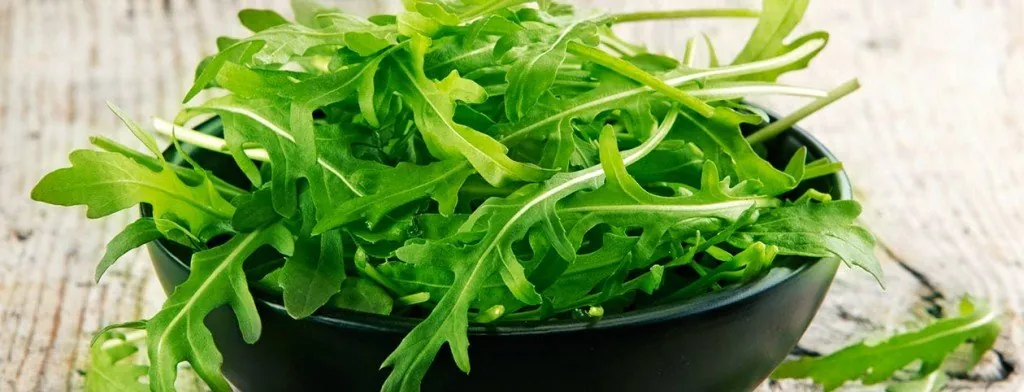 Fresh arugula leaves in a bowl