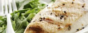 Sliced chicken breast with salad