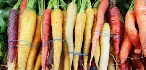 Carrots