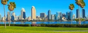 San Diego skyline framed by palm trees