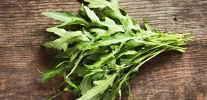 Arugula