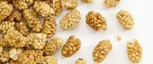 Dried white mulberries