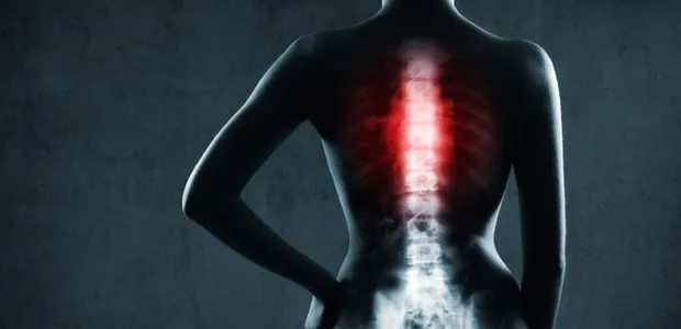 Illustration highlighting the spine