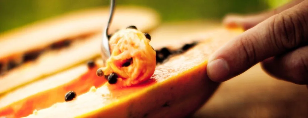 Hands preparing food with a kitchen knife