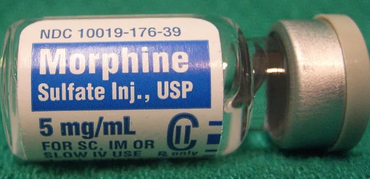 Vial labeled morphine sulfate injection