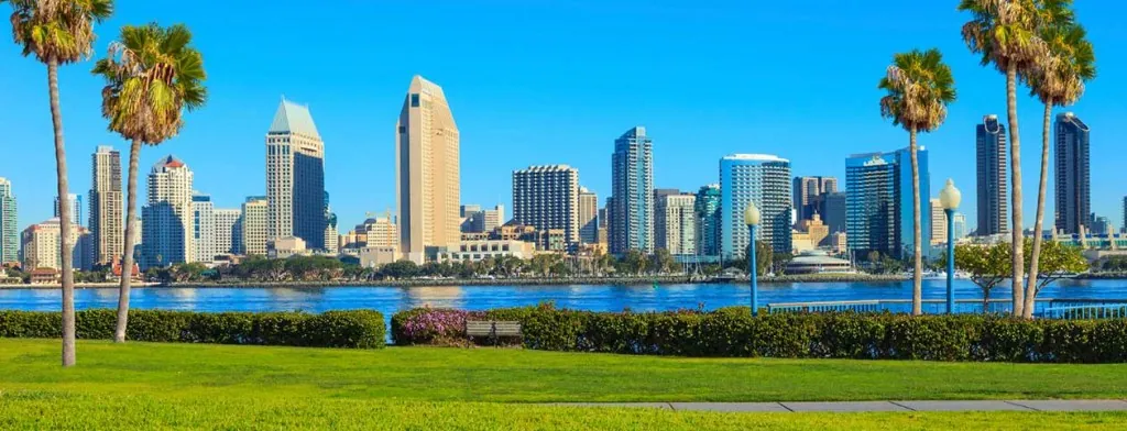 San Diego skyline framed by palm trees