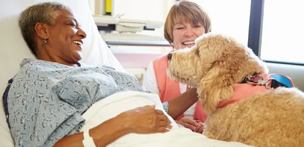 Hospital patient interacting with a dog and visitor