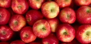 Apples