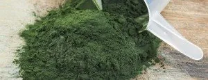 Spirulina powder in a bowl with a scoop