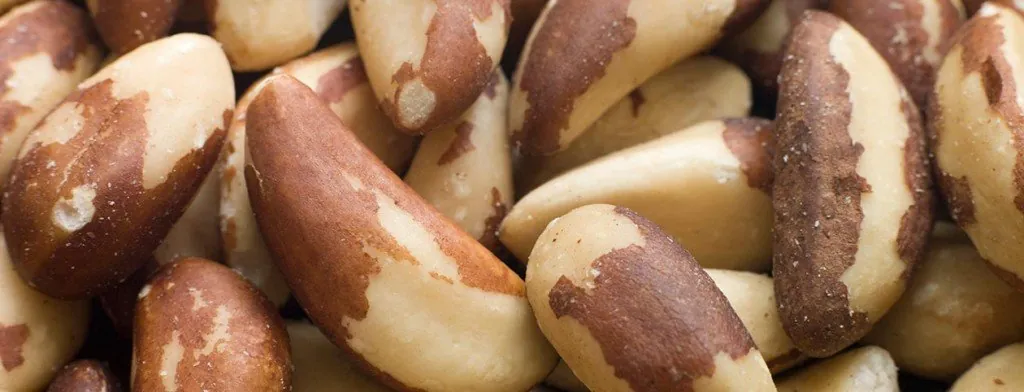 Shelled Brazil nuts