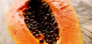 Papaya