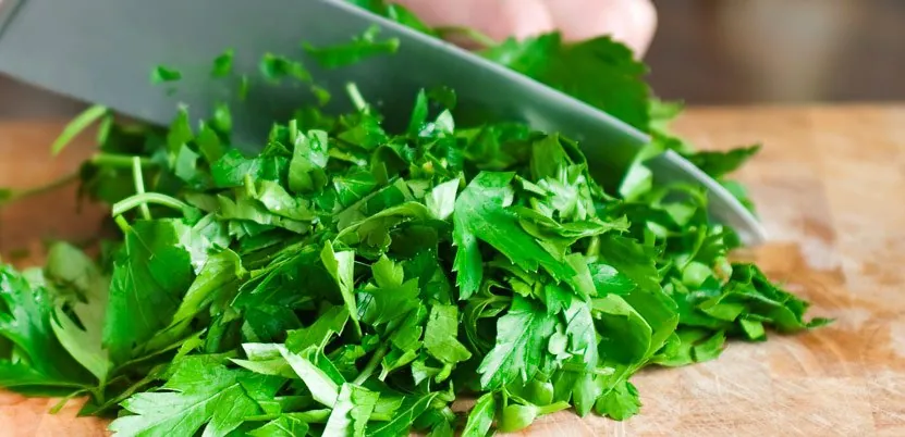Fresh cilantro being chopped