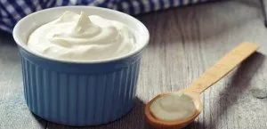 Yogurt