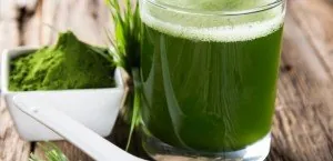Spirulina