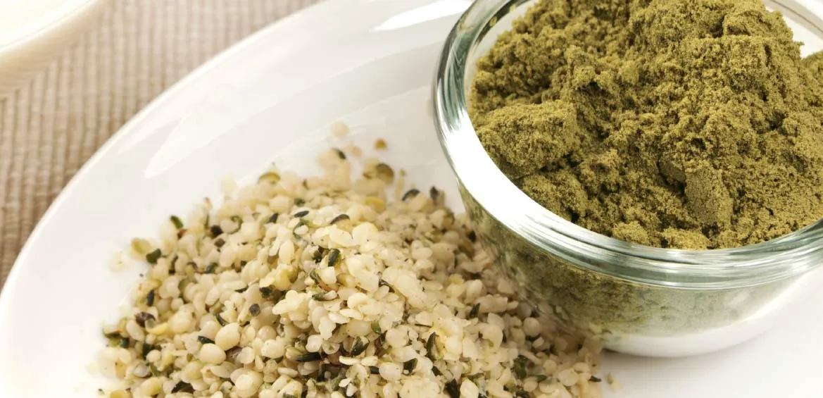 Hemp seeds beside a bowl of hemp powder