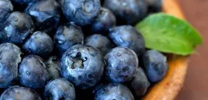 Blueberries
