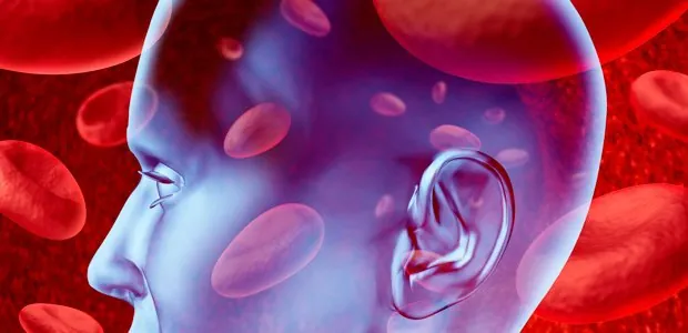 Medical illustration of the brain and blood vessels