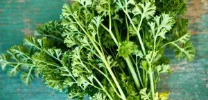 Parsley