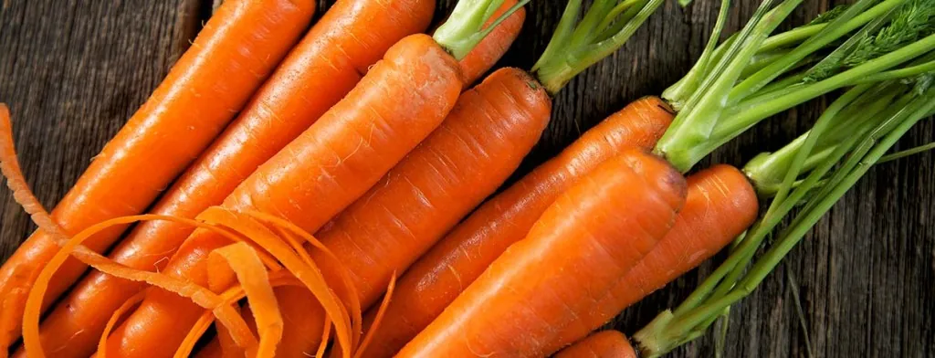 Fresh carrots with leafy tops