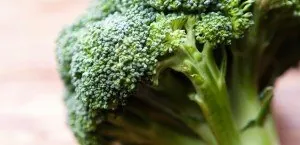 Broccoli