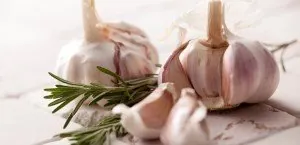 Garlic